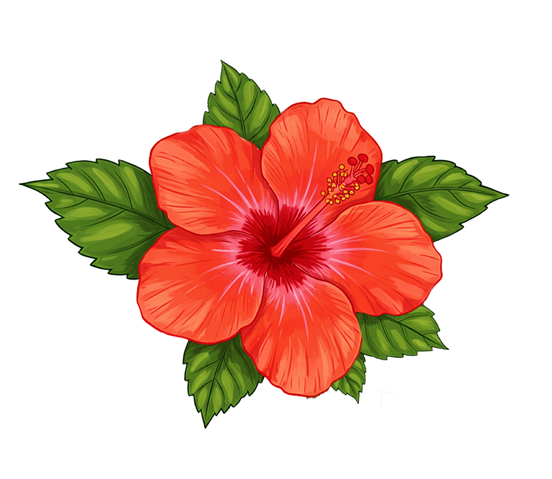 Bunga Raya illustration